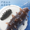 【正宗同仁堂品牌】北京同仁堂 青源堂 淡干海参400克（81-120头/500克）选自大连 送礼盒 泡发即食 冷风干燥 SY 商品缩略图4
