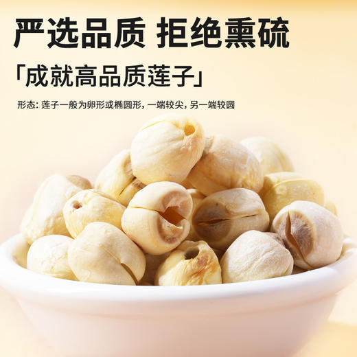 【正宗同仁堂品牌】北京同仁堂 莲子110克 严选湖南优质莲子 拒绝熏硫SY 商品图6