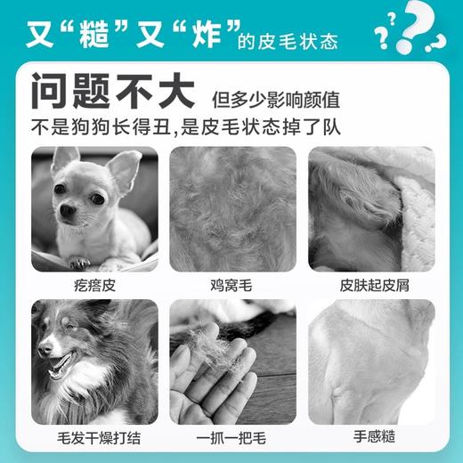 「美毛食力派」卫仕 犬用卵磷脂颗粒500g 商品图2