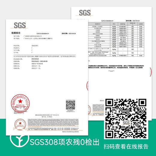 【SGS308项农残0检出澳洲进口kingsize王级夏威夷果仁 0号大果】原香原味0添加去壳完整大果仁 奶香酥脆 富含8种氨基酸 商品图1