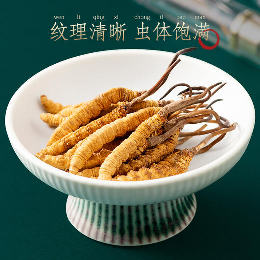 蔡府3A冬虫夏草4g(18根） 商品图2
