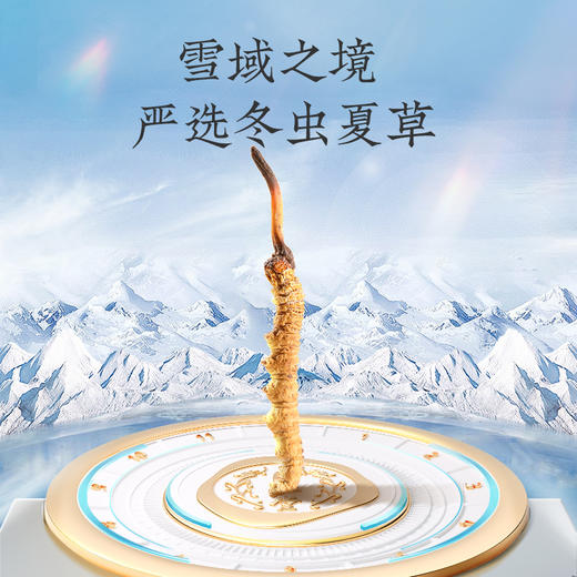 【正宗同仁堂品牌】北京同仁堂 冬虫夏草-50/10克 虫体干净 高品质干虫草 滋补品SY 商品图2