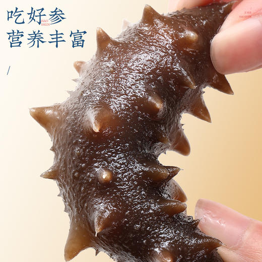 【正宗同仁堂品牌】北京同仁堂 青源堂 即食海参500克8-12只 悦享装 营养丰富 即开即食SY 商品图2