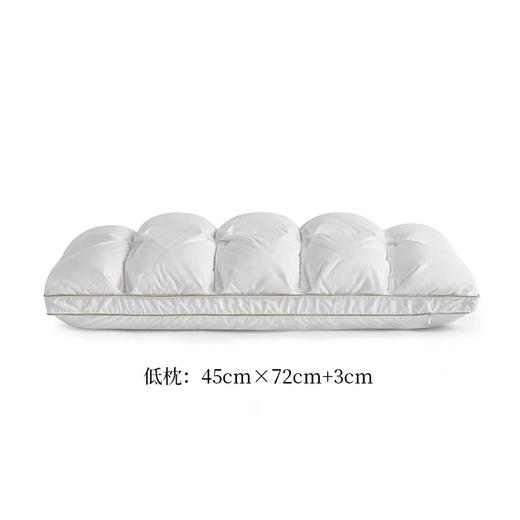 【春上新】10楼罗卡芙/惠谊高弹天然护颈乳胶成人抗菌鹅绒乳胶枕-华星秋月43*72cm吊牌价1980元/只   活动价1280元/只 商品图5