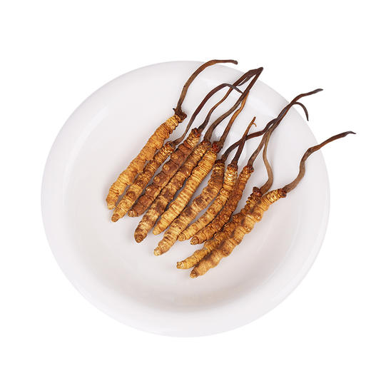 【正宗同仁堂品牌】北京同仁堂 冬虫夏草-40/2克 虫体干净 高品质干虫草 滋补品SY 商品图1