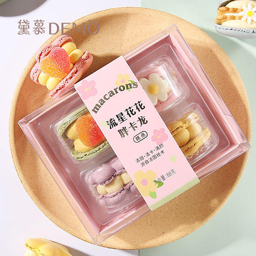 流星花花胖卡龙 | macarons 商品图0