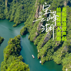 山水异境·张家界假·甄享版