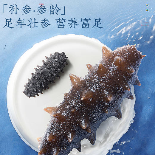 【正宗同仁堂品牌】北京同仁堂 青源堂 即食海参1500克 足年壮参 营养富足SY 商品图5