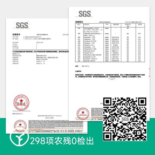 检测SGS-298项农残0检出有机种植0添加】荤可素，味道鲜美，滑嫩脆爽，涮火锅都绝绝子!菌中新贵有机白玉木耳200g*2袋 商品图1