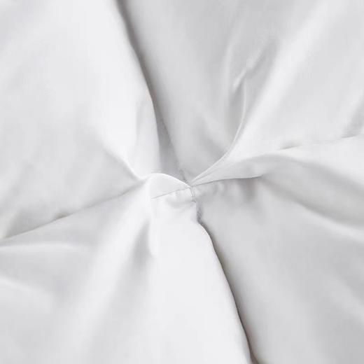 【春上新】10楼罗卡芙/惠谊高弹天然护颈乳胶成人抗菌鹅绒乳胶枕-华星秋月43*72cm吊牌价1980元/只   活动价1280元/只 商品图3