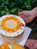 斑斓芒果榴莲蛋糕裸蛋糕尺寸偏差0.5㎝ 商品缩略图3