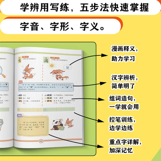小学生错别字救星 全2册 错别字 多音字 形近字 21天学习3500字 商品图3