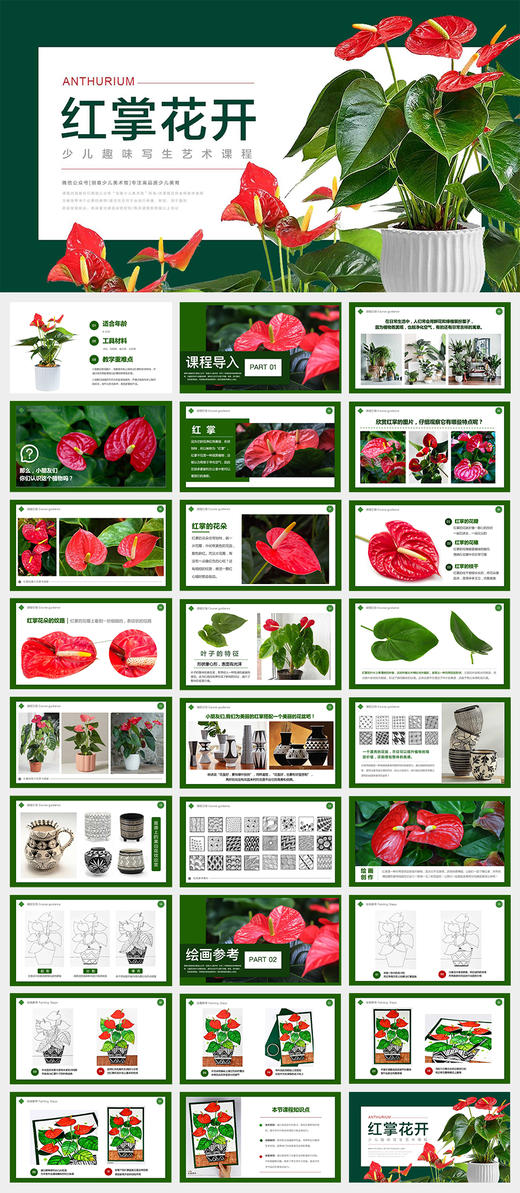 《大展“红”图：一盆红掌的艺术课堂》植物/马克笔/线描/自动发货：下单后，点击手机短信中收到的链接，即可获取文件下载的链接；如有任何问题，可添加客服微信hm33268获得帮助。 商品图2