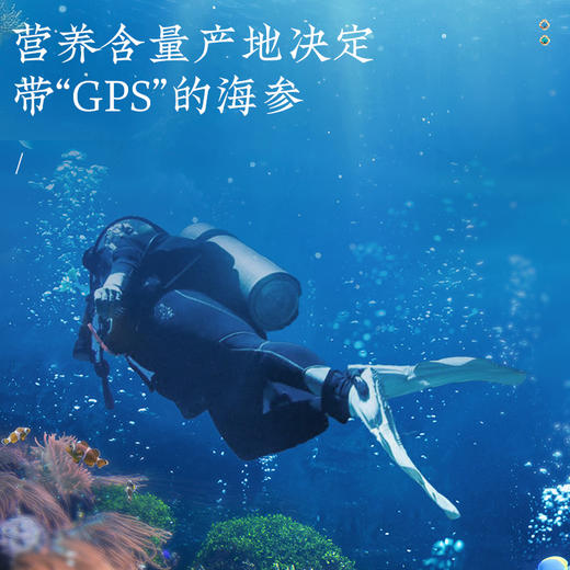 【正宗同仁堂品牌】北京同仁堂 青源堂 淡干海参400克（81-120头/500克）选自大连 送礼盒 泡发即食 冷风干燥 SY 商品图3