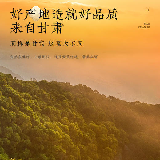 【正宗同仁堂品牌】北京同仁堂 青源堂 黄芪500克 严选甘肃黄芪 精切工艺 大小均匀 多层锁鲜SY 商品图4