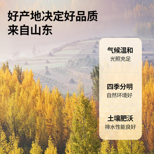 【积分兑换】【正宗同仁堂品牌】北京同仁堂 青源堂	玫瑰花80克 严选品质 拒绝熏硫 干度合格SY 商品图3