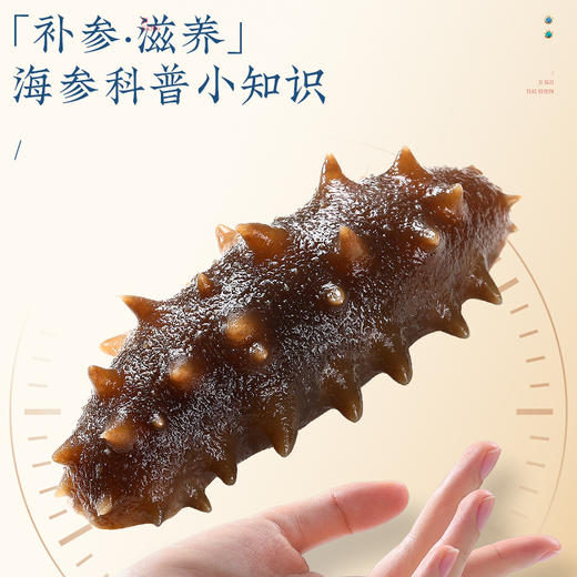 【正宗同仁堂品牌】北京同仁堂 青源堂 即食海参1000克 足年壮参 营养富足SY 商品图5