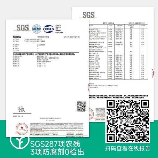 【SGS308项农残等0检出南非进口-kingsize王级碧根果仁，富含多达19种维生素和矿物质】甄选南非核心产区优良威奇塔品种 商品图3