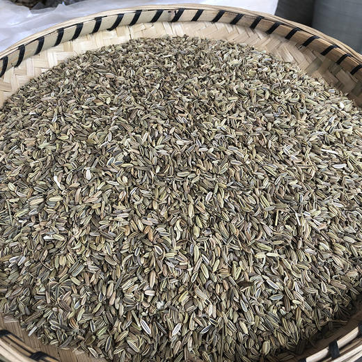 小茴香 商品图1