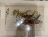 生肖虎卡纸画横款 商品缩略图0
