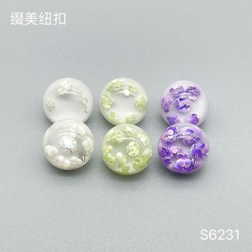 S6231(整包购买) 商品图0