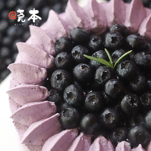 莓果精灵蛋糕 商品图2