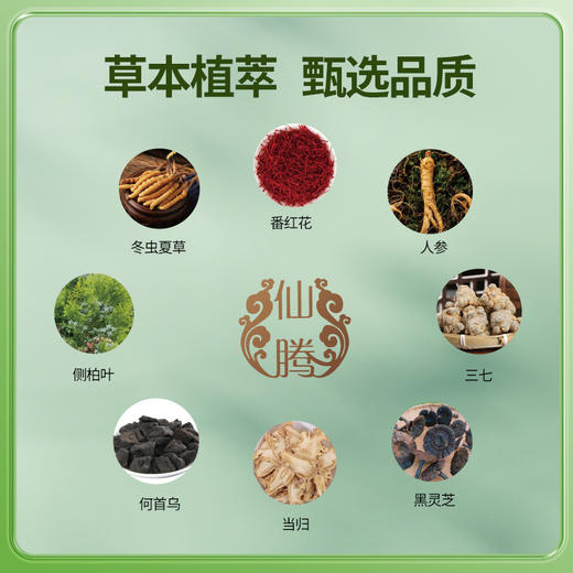 自营（仙腾生物）-仙腾植物精华养护洗发液 甄选八味名贵草本植萃 防断控油滋养护发 商品图2