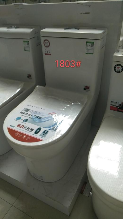 镱龙 广东坐便器 1803 双孔大管道 商品图0