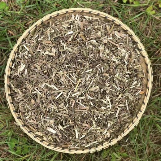 马鞭草 商品图1