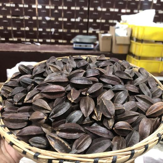 使君子 商品图4