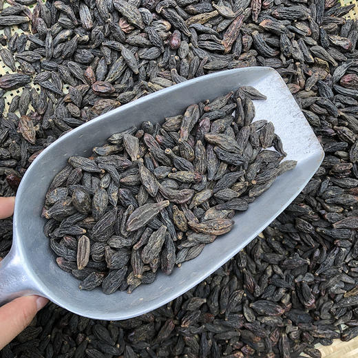 西青果 商品图4