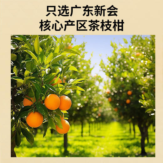 【正宗同仁堂品牌】北京同仁堂 青源堂 醇香08陈皮100克 新会产陈皮 果香浓郁 香醇甘甜 自然晾干SY 商品图2