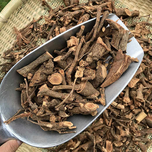 大红袍  云南野生毛秔子梢 云南野生锈钉子 商品图3