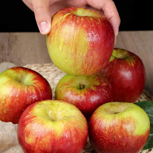 云南高原早熟红露苹果  酸甜可口 表皮鲜艳 皮薄果肉较脆硬  果心较小  汁水足  现摘现发   淡淡的果香 商品图4