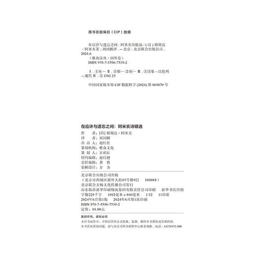 【译者签名本】在应许与遗忘之间：阿米亥诗精选 刘国鹏 译 商品图3