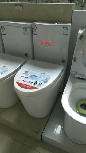 镱龙 广东坐便器 1802 双孔大管道