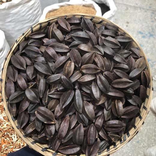 使君子 商品图0