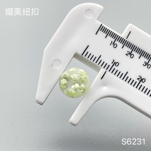 S6231(整包购买) 商品图4