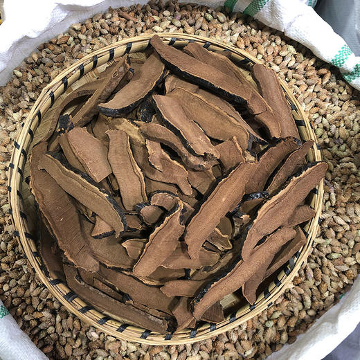 灵芝片 种植 商品图2