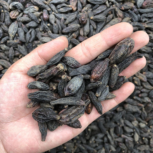 西青果 商品图2