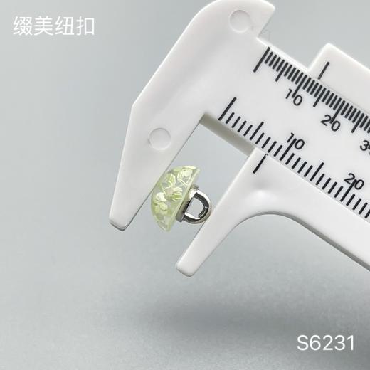 S6231(整包购买) 商品图5