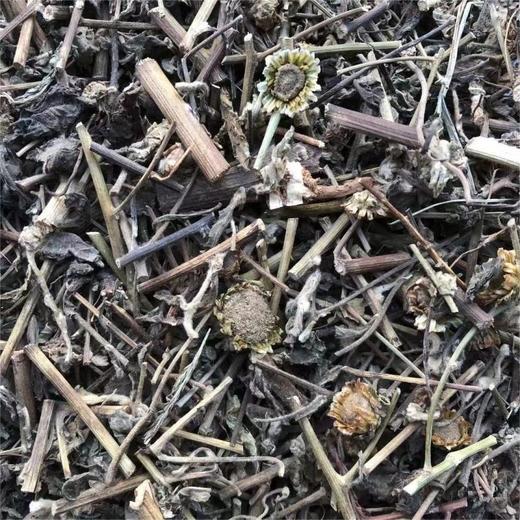 倒提壶 商品图1