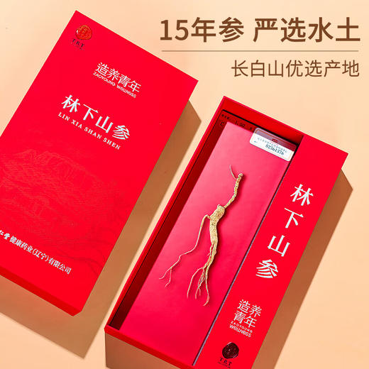 【正宗同仁堂品牌】北京同仁堂 林下山参 1-1.5g/C 自然参香味足 15年参 长白山脉原产 应季手工采挖 自然晾晒SY 商品图8