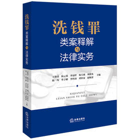 洗钱罪类案释解与法律实务 王朝勇 陆云英主编 法律出版社