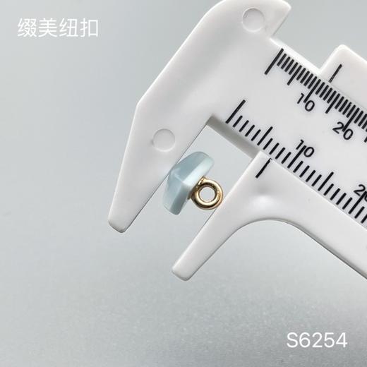 S6254(整包购买) 商品图2
