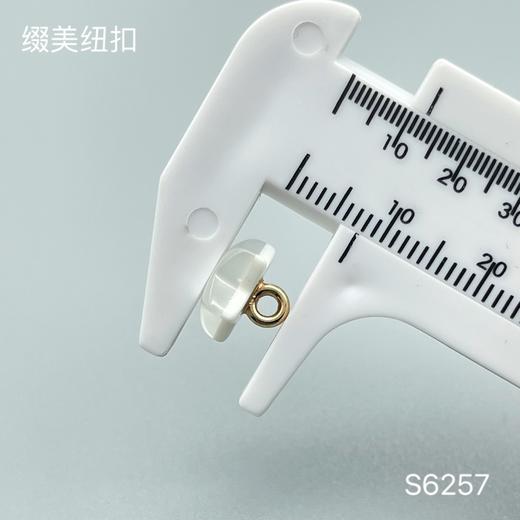 S6257(整包购买) 商品图2