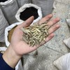 香茅草 商品缩略图4