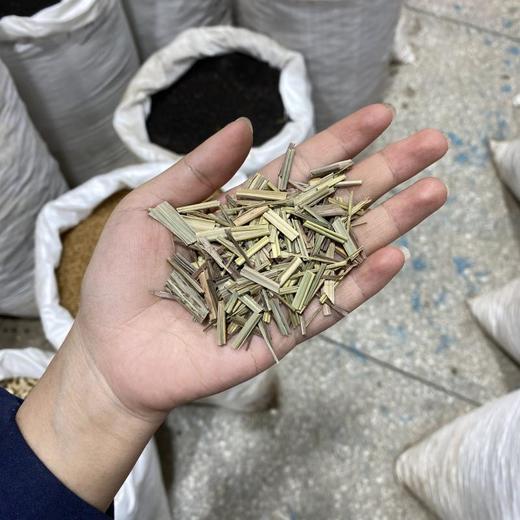 香茅草 商品图4
