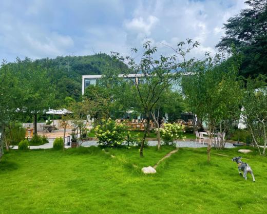 【邛崃-253号院】3房独栋民宿小院，天台山脚下，看萤火虫，避暑，临溪，玩水，登山徒步，厨房等配套，ghl 商品图8