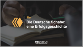 33.【动物】德国蟑螂